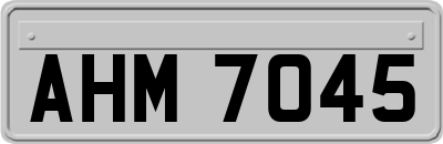 AHM7045