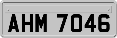 AHM7046