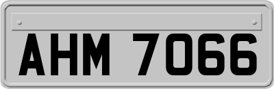 AHM7066