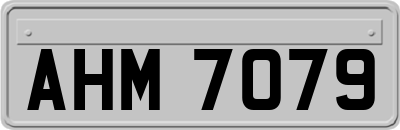AHM7079