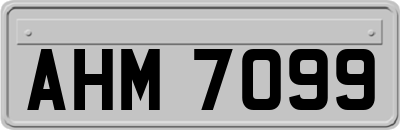 AHM7099