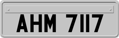 AHM7117