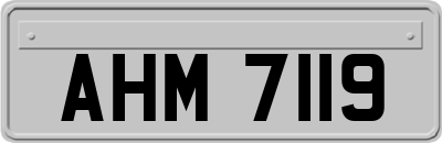 AHM7119
