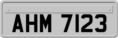 AHM7123