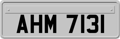 AHM7131