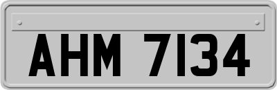 AHM7134