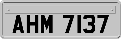AHM7137