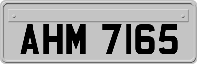 AHM7165