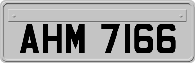 AHM7166