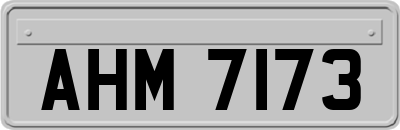 AHM7173