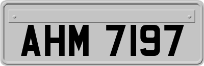 AHM7197
