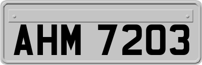 AHM7203