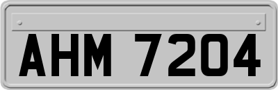 AHM7204