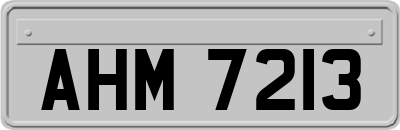 AHM7213