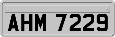 AHM7229