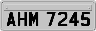 AHM7245