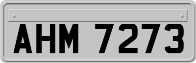 AHM7273