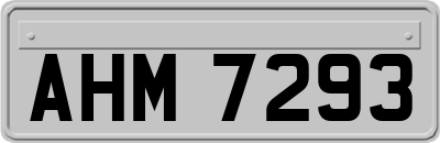 AHM7293