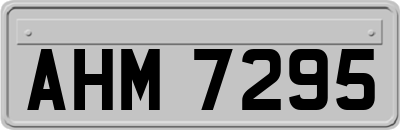 AHM7295