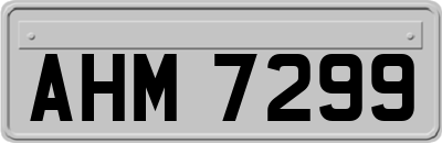 AHM7299