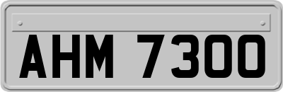 AHM7300