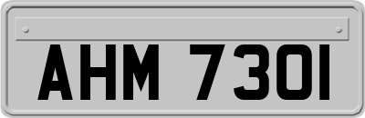 AHM7301
