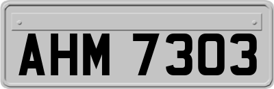 AHM7303
