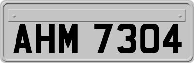 AHM7304