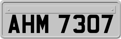 AHM7307