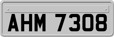 AHM7308