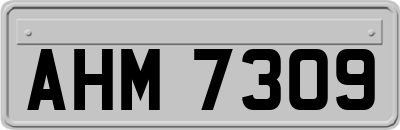 AHM7309