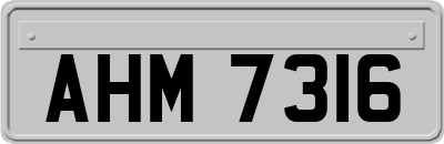 AHM7316