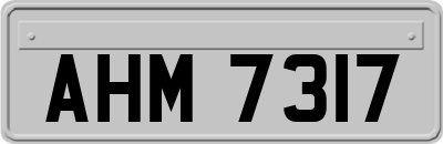 AHM7317