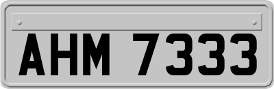 AHM7333