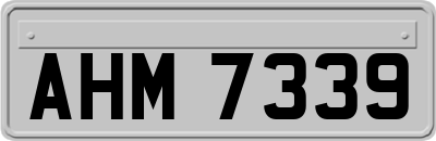 AHM7339