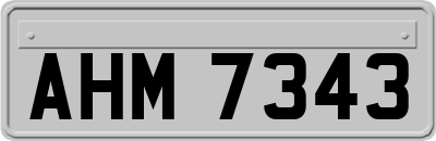 AHM7343