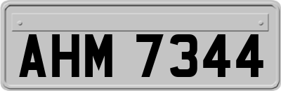 AHM7344