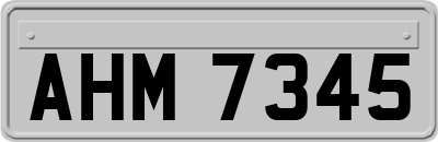 AHM7345