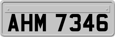 AHM7346