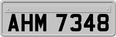 AHM7348