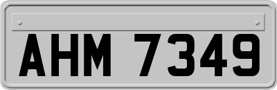 AHM7349