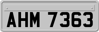 AHM7363