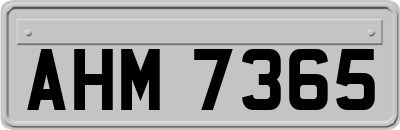 AHM7365