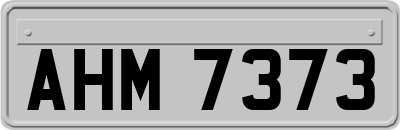 AHM7373