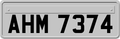AHM7374