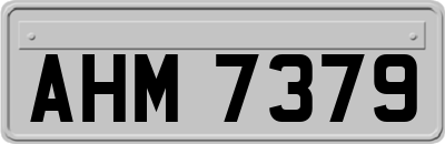 AHM7379