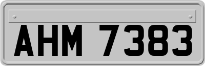 AHM7383