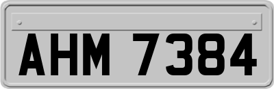 AHM7384
