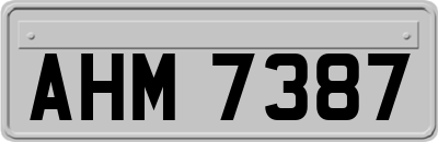 AHM7387