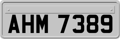 AHM7389